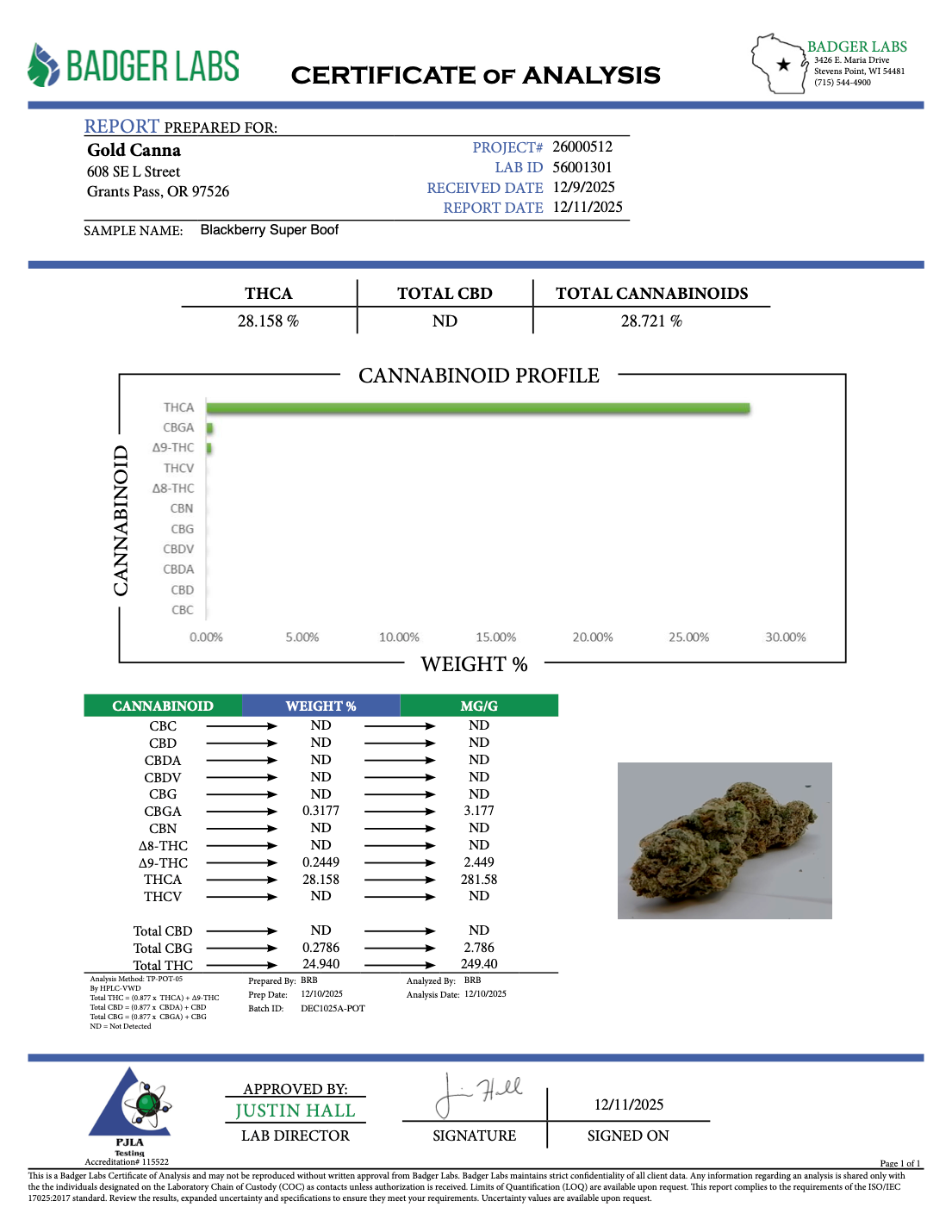 Blackberry Super Boof