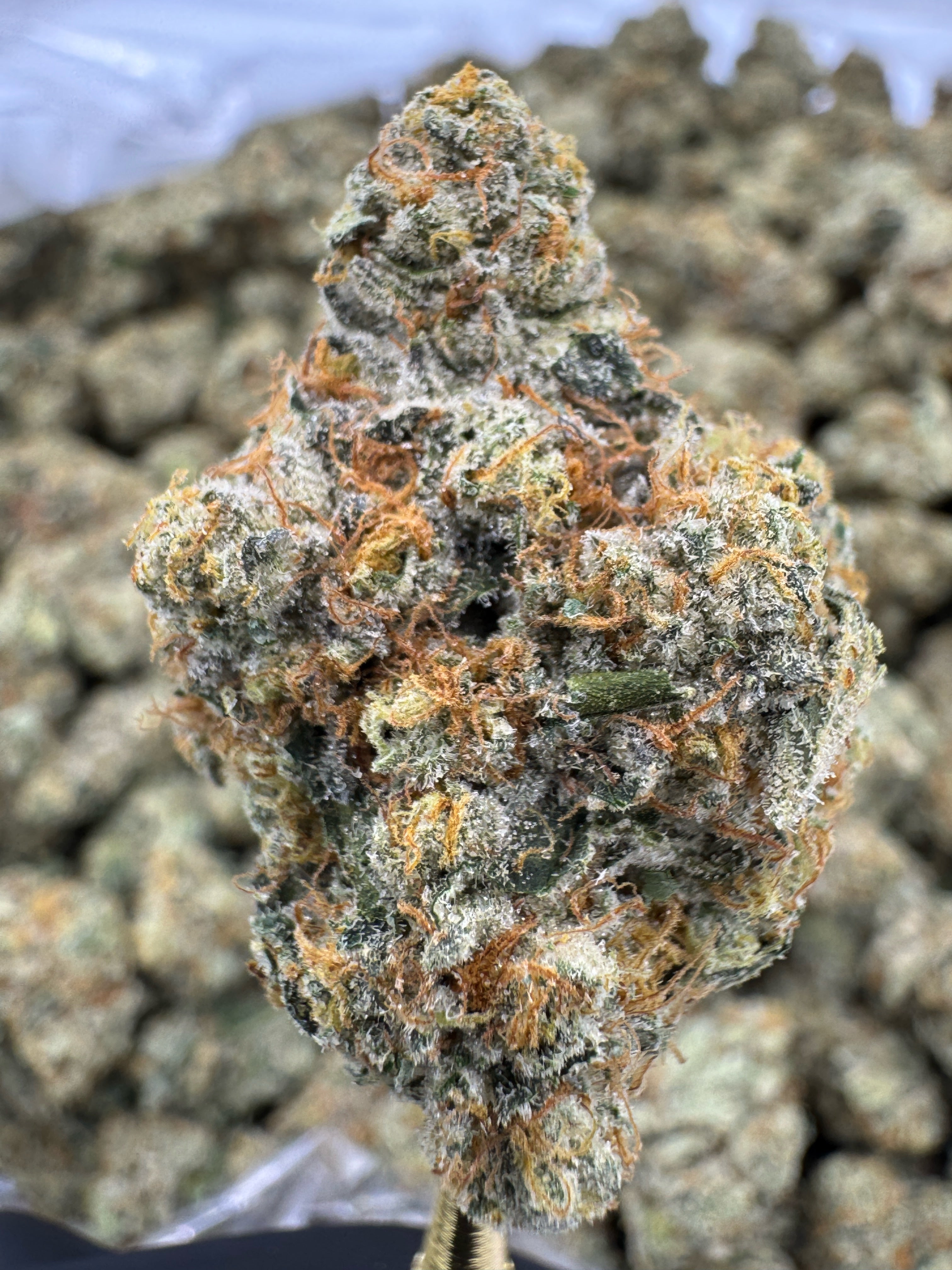 Ooh La La - Flowers Unbranded