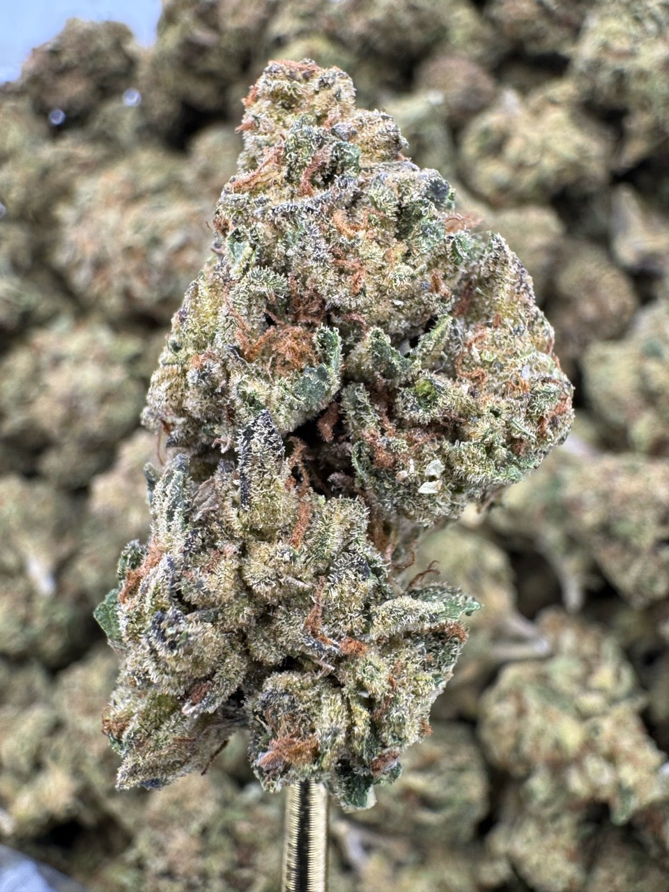 Chemdawg - Flowers Unbranded