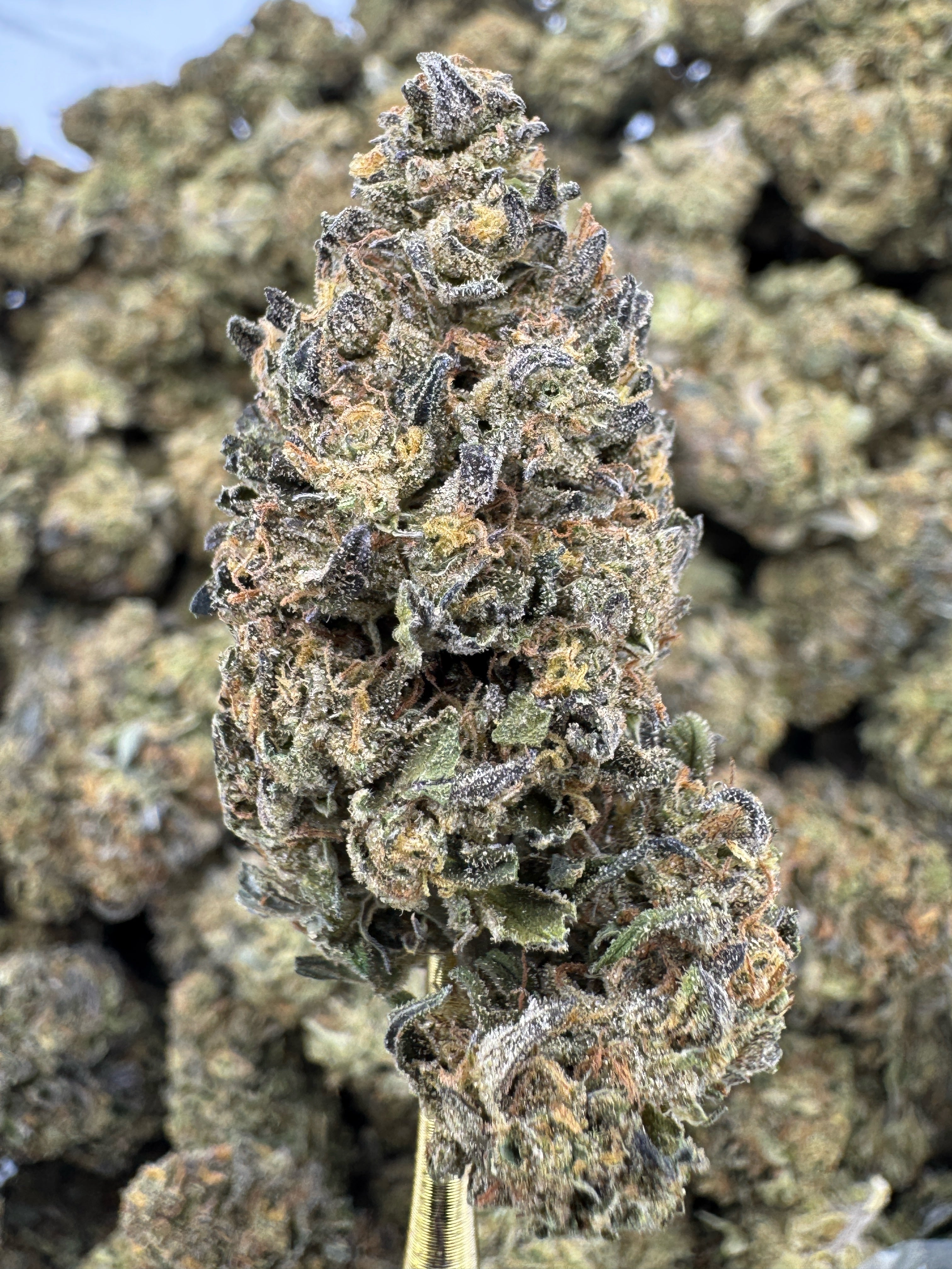 Platinum Cookies - Flowers Unbranded
