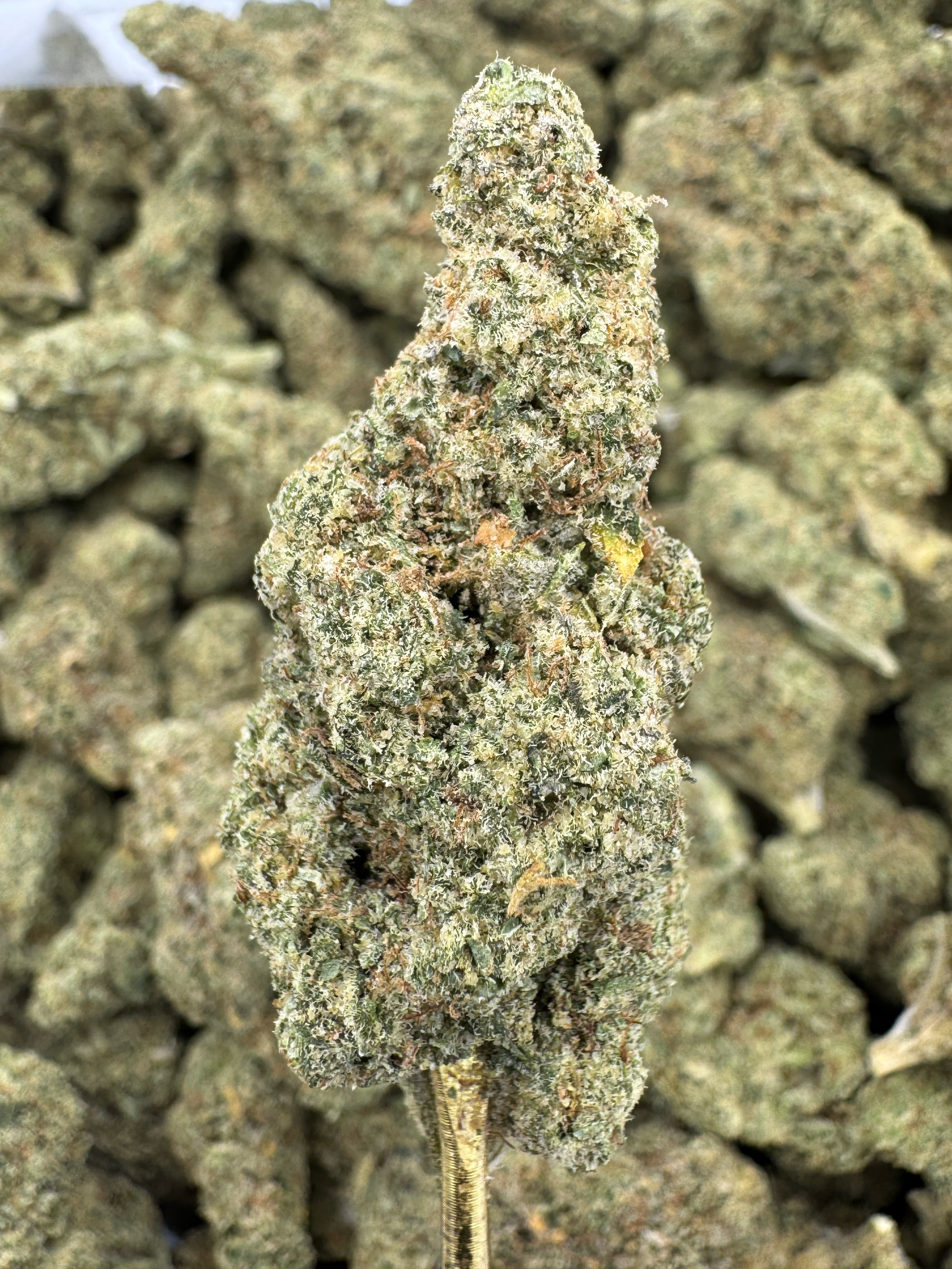 Rock Candy - Flowers Unbranded