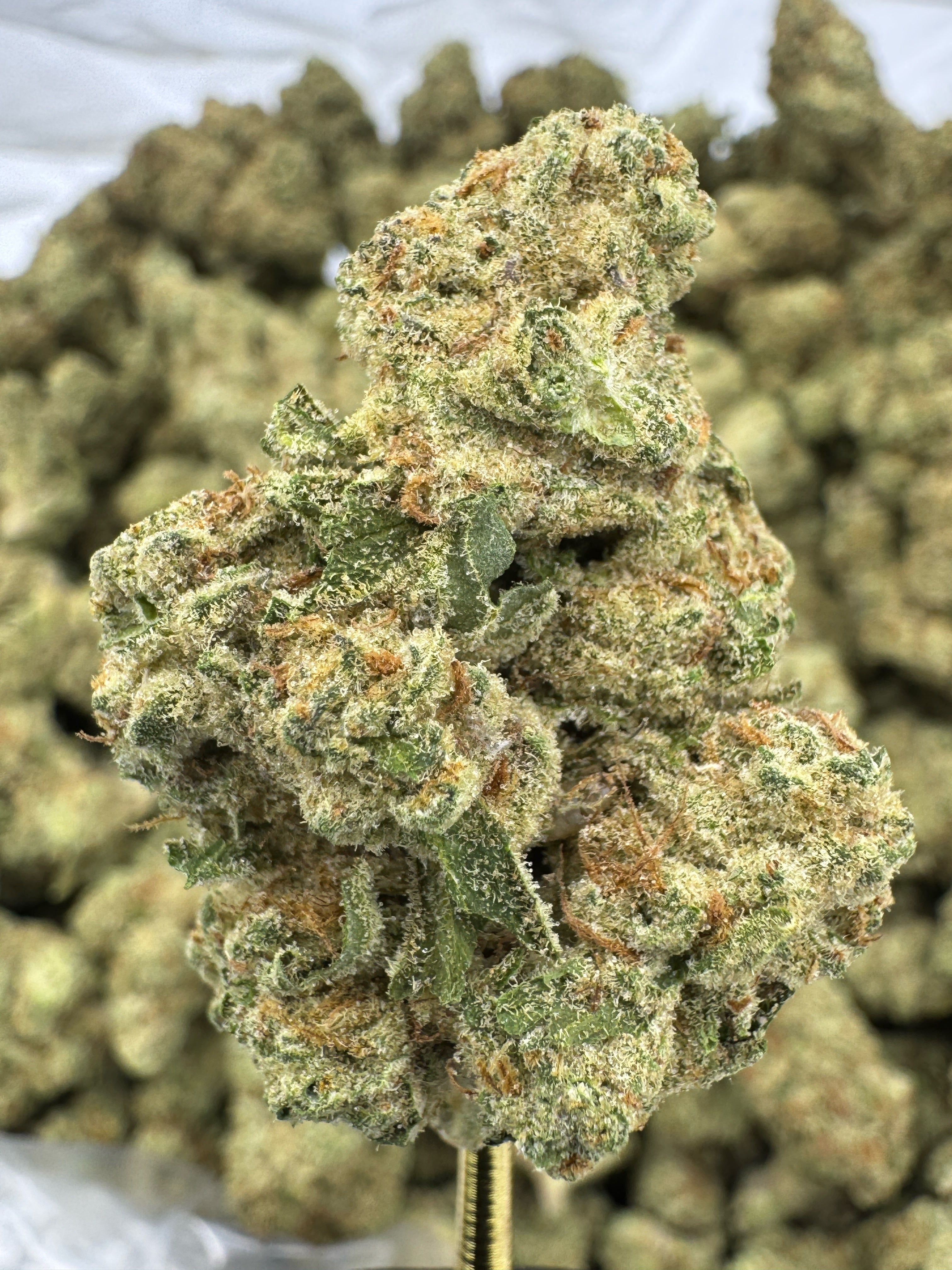 Punch Breath - Flowers Unbranded