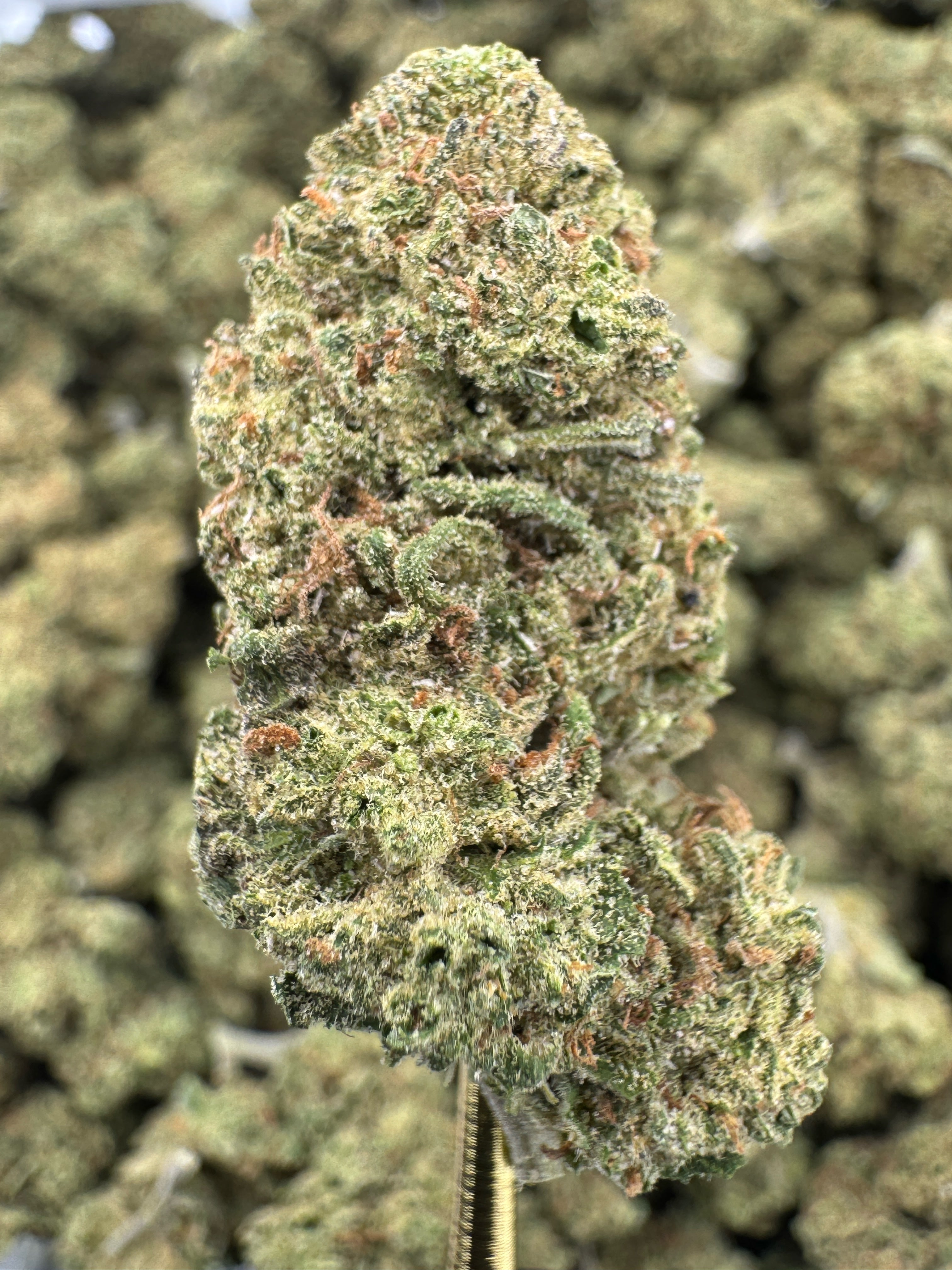Blue Dream - Flowers Unbranded