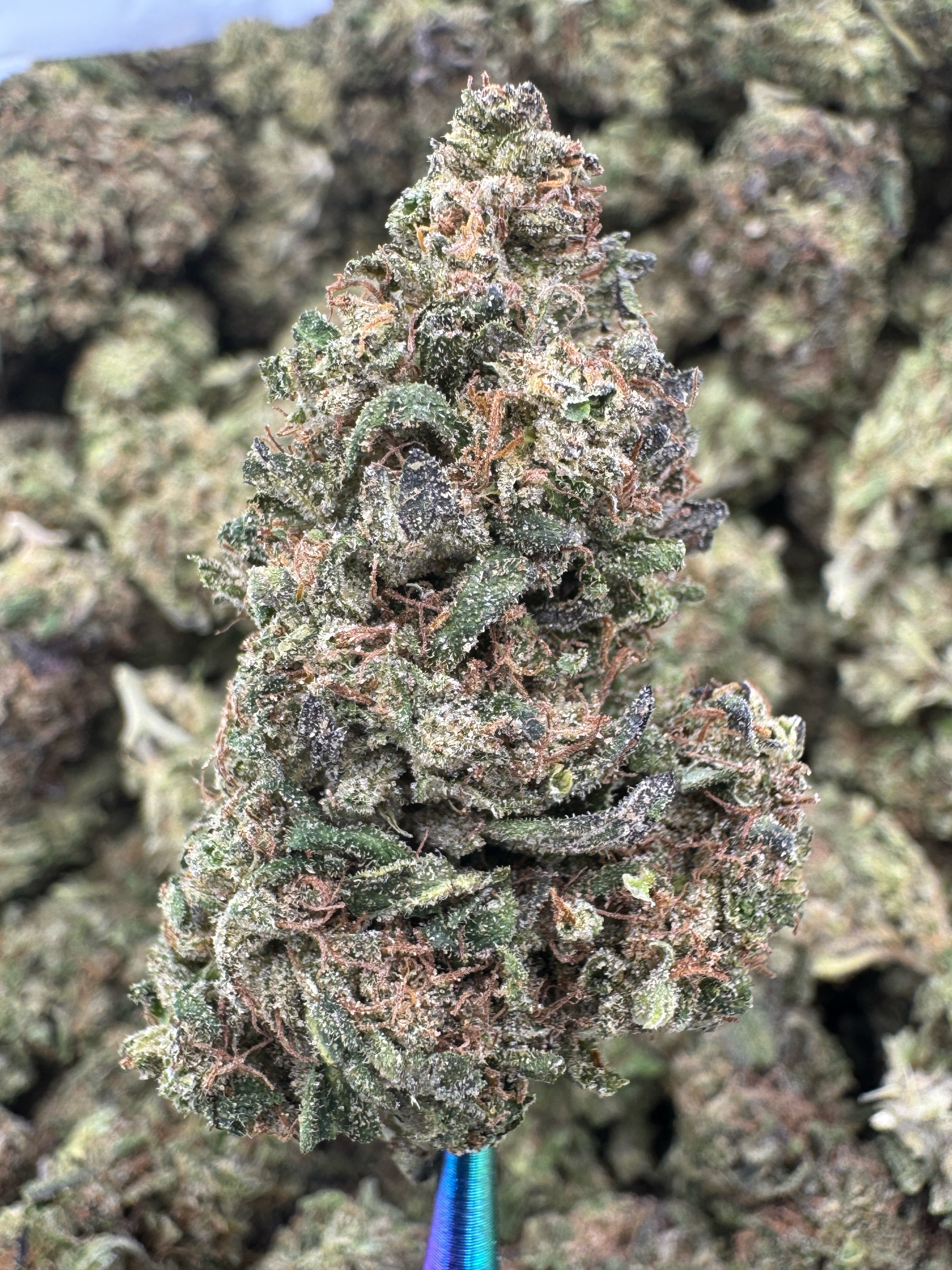 Sour Gary - Flowers Unbranded